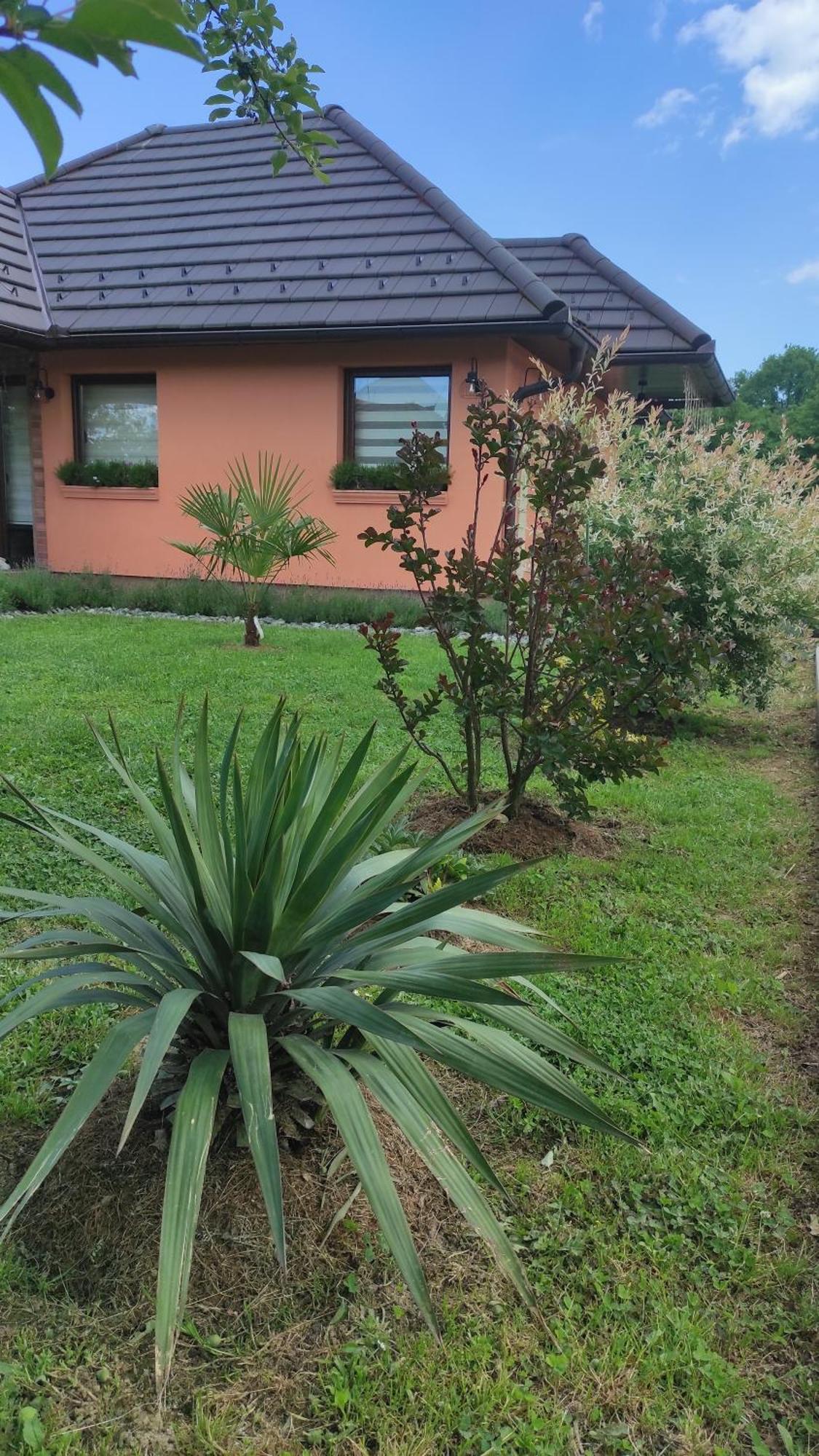 Apartman A&E Zivinice Exteriör bild